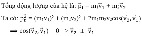 Trắc nghiệm Động lượng - Định luật bảo toàn động lượng có đáp án năm 2021 (phần 2)