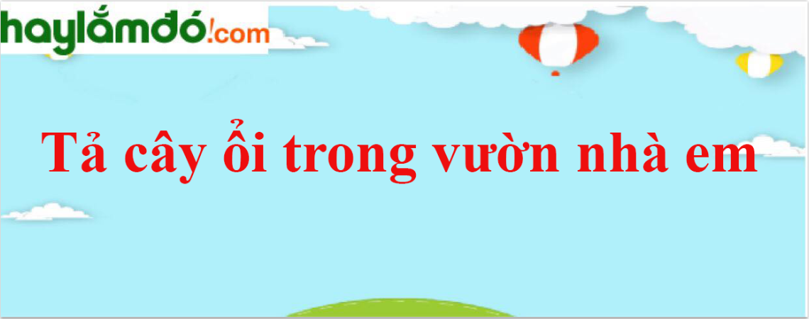 Tả cây ổi trong vườn nhà em năm 2024 - Văn mẫu lớp 4