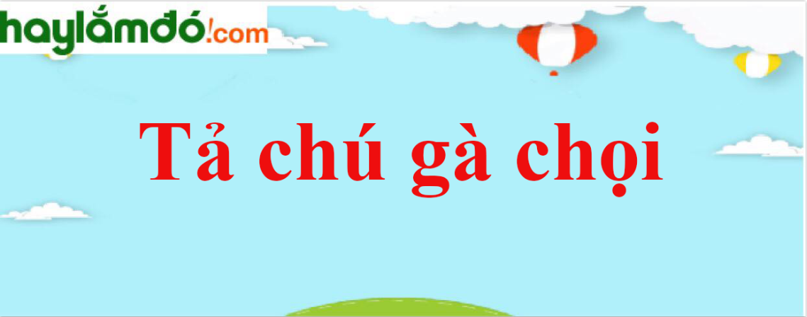 Tả chú gà chọi năm 2024 - Văn mẫu lớp 4