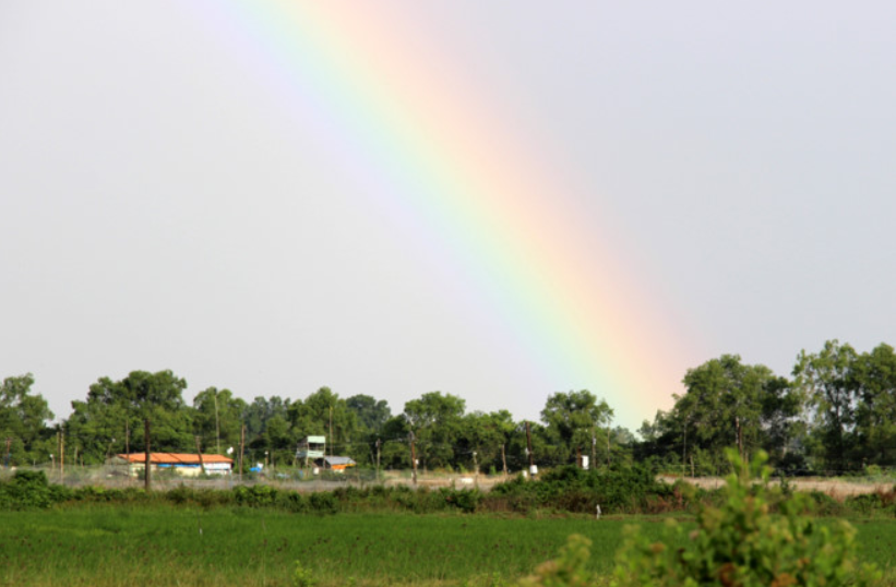 Văn mẫu 5 | Tập làm văn lớp 5