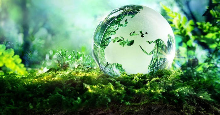Viết đoạn văn về chủ đề Để hành tinh xanh mãi xanh (4 mẫu)
