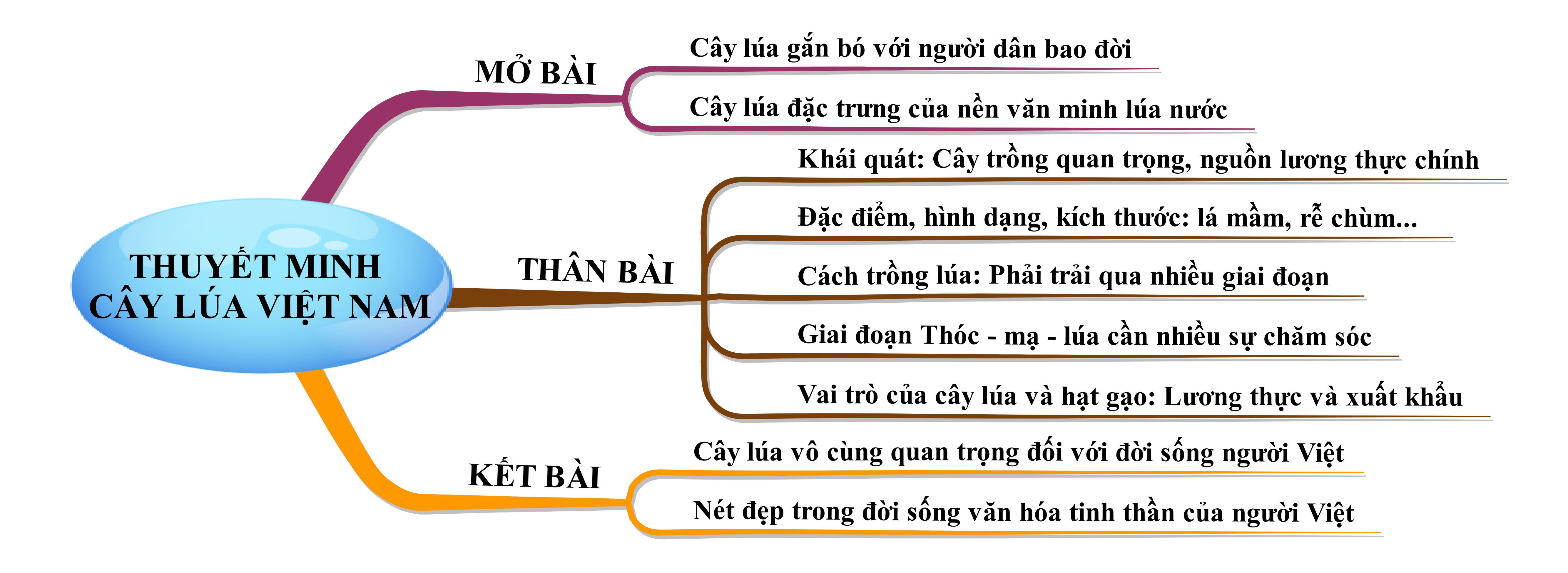 Thuyết minh cây lúa Việt Nam năm 2023
