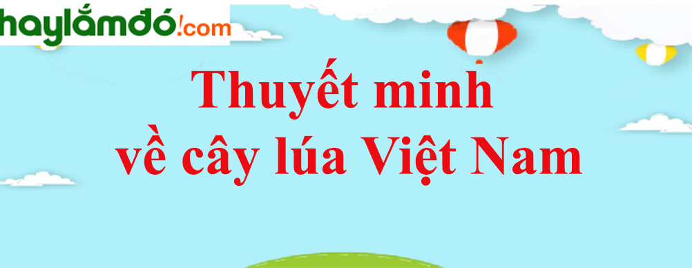 Thuyết minh về cây lúa Việt Nam năm 2023 - Văn mẫu lớp 9