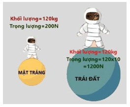 Lý thuyết Vật Lí 10 Cánh diều Bài 2: Một số lực thường gặp (ảnh 5)