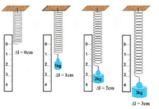 Lý thuyết Vật Lí 10 Cánh diều Bài 2: Sự biến dạng (ảnh 5)