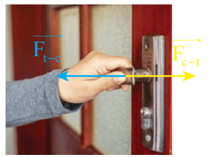 Lý thuyết Vật Lí 10 Cánh diều Bài 3: Ba định luật Newton về chuyển động (ảnh 4)