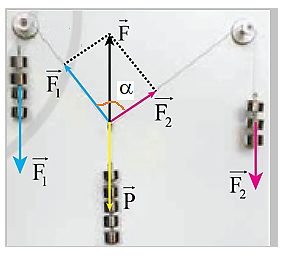 Thí nghiệm ở hình 5.6 cho phép nghiệm lại kết quả tổng hợp hai lực F1, F2 vuông góc với nhau