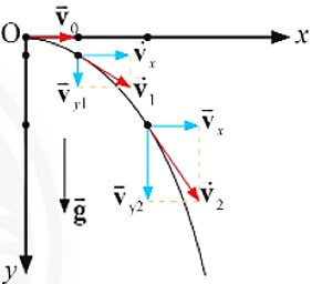 Lập luận để rút ra các phương trình mô tả quỹ đạo chuyển động, thời gian rơi