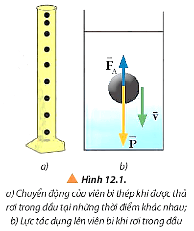 Quan sát hình 12.1, vẽ vectơ lực cản của dầu tác dụng lên viên bi và mô tả chuyển động