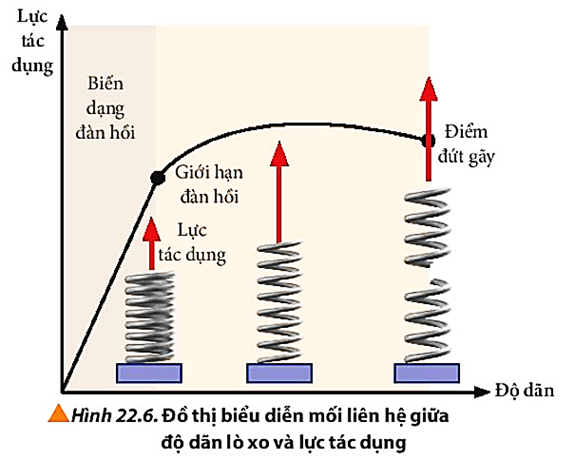 Quan sát Hình 22.6, nhận xét sơ lược về tính chất của lò xo khi tăng lực tác dụng