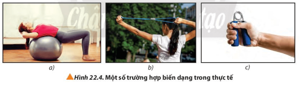 Hãy phân loại biến dạng trong từng trường hợp được mô tả ở Hình 22.4