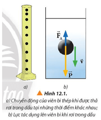 Lý thuyết Vật Lí 10 Chân trời sáng tạo Bài 12: Chuyển động của vật trong chất lưu
