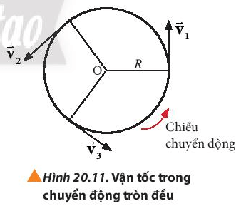 Lý thuyết Vật Lí 10 Chân trời sáng tạo Bài 20: Động học của chuyển động tròn (ảnh 5)