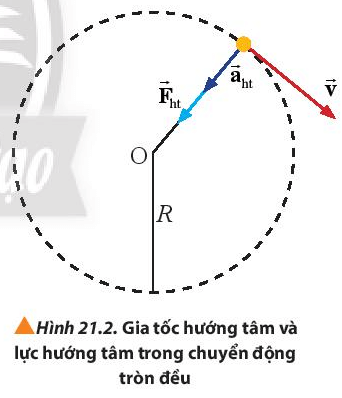 Lý thuyết Vật Lí 10 Chân trời sáng tạo Bài 21: Động lực học của chuyển động tròn. Lực hướng tâm (ảnh 1)