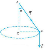 Lý thuyết Vật Lí 10 Chân trời sáng tạo Bài 21: Động lực học của chuyển động tròn. Lực hướng tâm (ảnh 2)