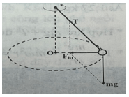 Trắc nghiệm Vật Lí 10 Bài 21 (có đáp án): Động lực học của chuyển động tròn. Lực hướng tâm - Chân trời sáng tạo (ảnh 1)
