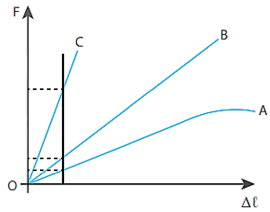 Trên Hình 33.5 là đồ thị sự phụ thuộc của lực đàn hồi F vào độ biến dạng delta l của 3