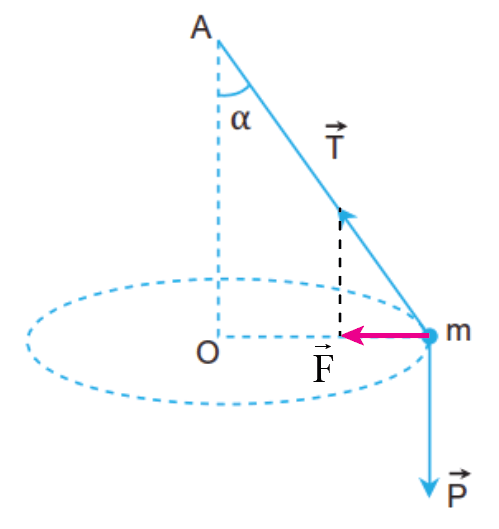Vẽ hợp lực của lực căng dây vecto T và trọng lực vecto P, từ đó xác định lực hướng tâm