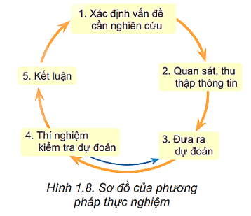 Lý thuyết Vật Lí 10 Kết nối tri thức Bài 1: Làm quen với Vật lí