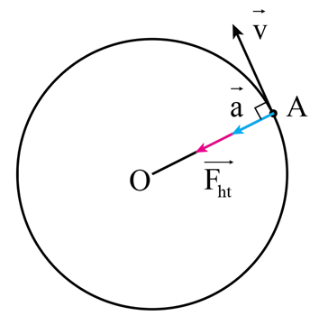 Lý thuyết Vật Lí 10 Kết nối tri thức Bài 32: Lực hướng tâm và gia tốc hướng tâm