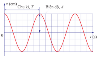 Lý thuyết Vật Lí 11 Cánh diều Bài 1: Dao động điều hoà