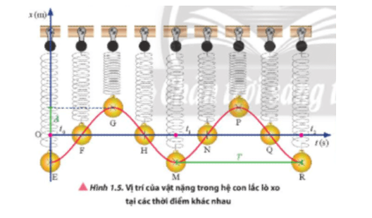 Quan sát Hình 1.5 và chỉ ra những điểm Có toạ độ dương, âm hoặc bằng không