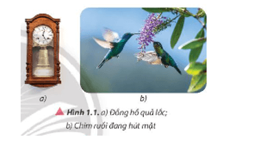 Sự dao động của các vật diễn ra phổ biến trong cuộc sống hằng ngày