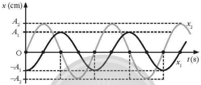 Trắc nghiệm Vật Lí 11 Chân trời sáng tạo Chương 1: Dao động