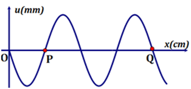 Trắc nghiệm Vật Lí 11 Chân trời sáng tạo Bài 5: Sóng và sự truyền sóng