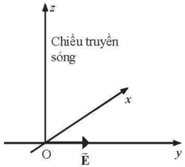 Trắc nghiệm Vật Lí 11 Chân trời sáng tạo Bài 7: Sóng điện từ