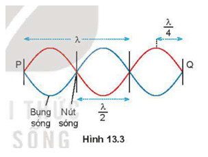 Hãy xác định số nút và số bụng của sóng dừng trên sợi dây Hình 13.3