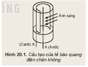 Tế bào quang điện chân không (Hình 20.1) gồm một ống hình trụ có một cửa sổ trong suốt