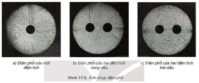 Em hãy quan sát Hình 17.6 và đưa ra nhận xét về đặc điểm của điện phổ