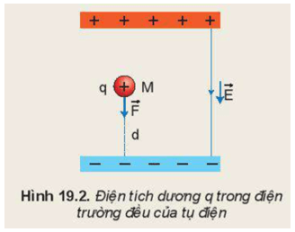 Một điện tích dương q được đặt tại điểm M trong điện trường đều của một tụ điện có độ lớn của cường độ điện trường là E