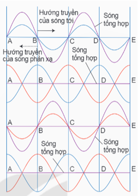 Lý thuyết Vật Lí 11 Kết nối tri thức Bài 13: Sóng dừng