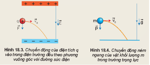 Lý thuyết Vật Lí 11 Kết nối tri thức Bài 18: Điện trường đều