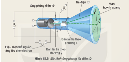 Lý thuyết Vật Lí 11 Kết nối tri thức Bài 18: Điện trường đều