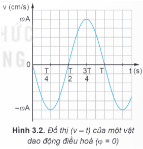 Lý thuyết Vật Lí 11 Kết nối tri thức Bài 3: Vận tốc, gia tốc trong dao động điều hoà