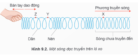 Lý thuyết Vật Lí 11 Kết nối tri thức Bài 9: Sóng ngang. Sóng dọc. Sự truyền năng lượng của sóng cơ