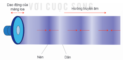 Lý thuyết Vật Lí 11 Kết nối tri thức Bài 9: Sóng ngang. Sóng dọc. Sự truyền năng lượng của sóng cơ