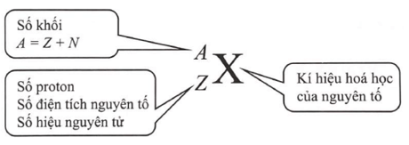 Lý thuyết Vật Lí 12 Bài 1: Cấu trúc hạt nhân | Cánh diều