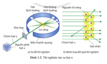 Lý thuyết Vật Lí 12 Bài 1: Cấu trúc hạt nhân | Cánh diều