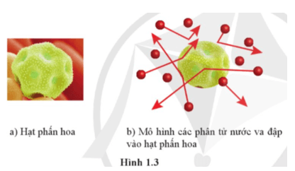 Lý thuyết Vật Lí 12 Bài 1: Mô hình động học phân tử chất khí | Cánh diều