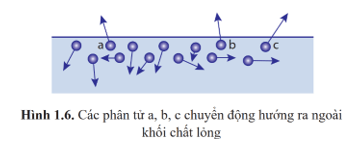 Lý thuyết Vật Lí 12 Bài 1: Sự chuyển thể của các chất | Cánh diều