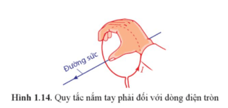 Lý thuyết Vật Lí 12 Bài 1: Từ trường | Cánh diều