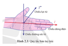 Lý thuyết Vật Lí 12 Bài 2: Lực từ tác dụng lên đoạn dây dẫn mang dòng điện. Cảm ứng từ | Cánh diều