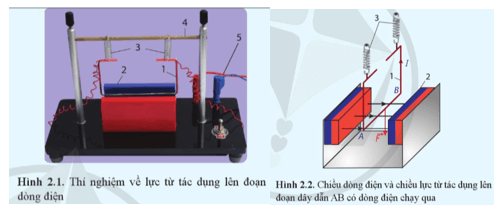 Lý thuyết Vật Lí 12 Bài 2: Lực từ tác dụng lên đoạn dây dẫn mang dòng điện. Cảm ứng từ | Cánh diều