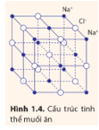 Muối ăn có cấu trúc tinh thể gồm các ion Na+ và Cl- có vị trí cân bằng trùng với đỉnh của khối lập phương 