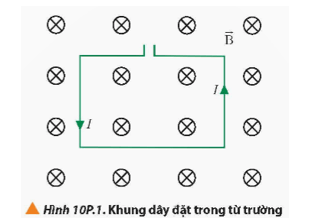 Đặt một khung dây dẫn hình chữ nhật mang dòng điện có cường độ I trong từ trường