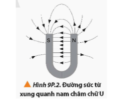 Dựa vào hình ảnh các đường sức từ của nam châm chữ U như Hình 9P.2